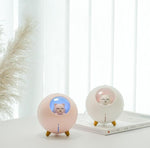 Planet Cat Humidifier