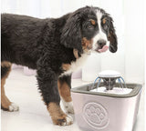 Pet Water Fountain