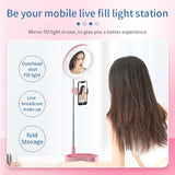 LED Make Up Mirror / Selfie Light