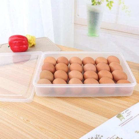 24 Egg Tray