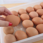 24 Egg Tray