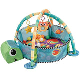 Turtle Activity Gym with Ball Pit