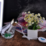 400ml Bulb Humidifer