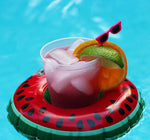 Watermelon Floating Drink Holder