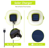 Collapsible Solar Lamp